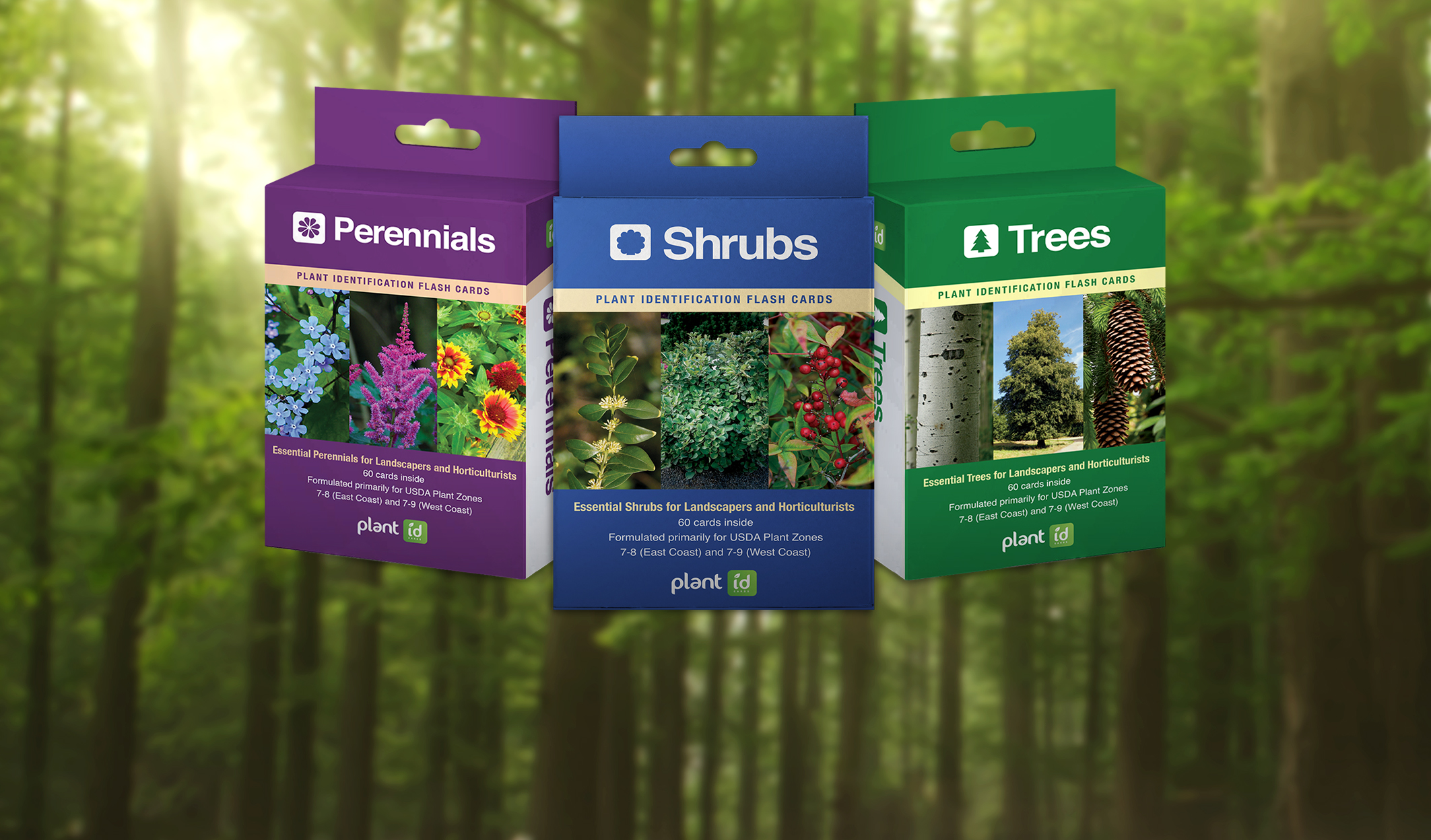 Plant ID Cards and plant ID flashcards for perennials, shrubs, and trees